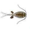 Marine copepods  180 ml
